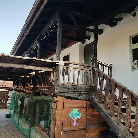 Affittacamere Staliovata House *