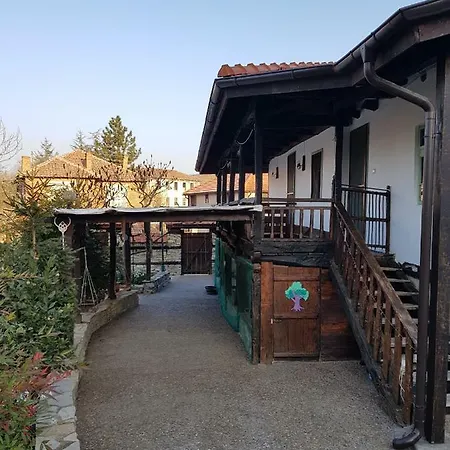 Affittacamere Staliovata House