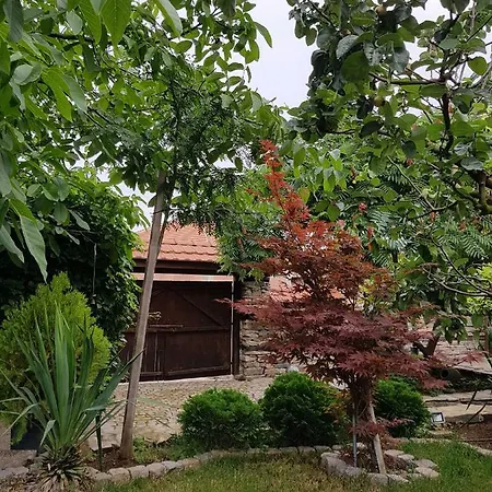 Staliovata House * Burgas